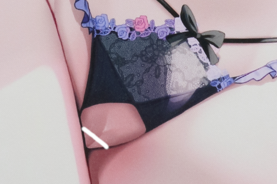 【レビュー】あゆま紗由 2024年10月「猫りん堂 3rd ANNIVERSARY」新規グッズ(成年向け) Wスエードタペストリー (猫りん堂)_局部アップ