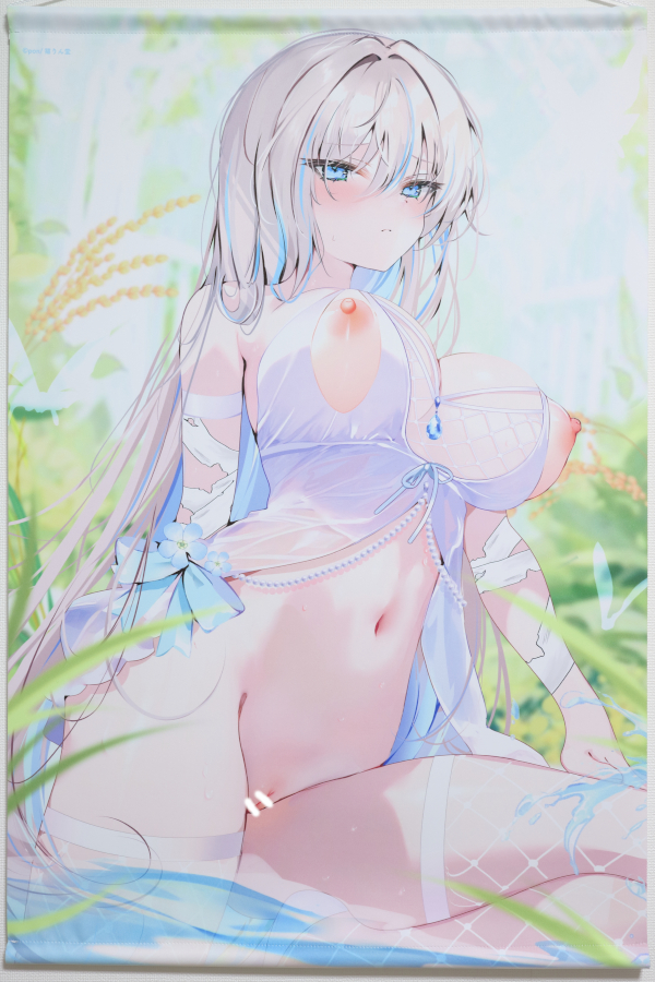 【レビュー】pon 2025年9月12日「月刊女神第七弾」新規グッズ（成年向け） Wスエードタペストリー (猫りん堂)_全体