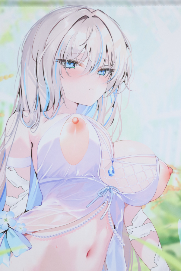 【レビュー】pon 2025年9月12日「月刊女神第七弾」新規グッズ（成年向け） Wスエードタペストリー (猫りん堂)_バストアップ