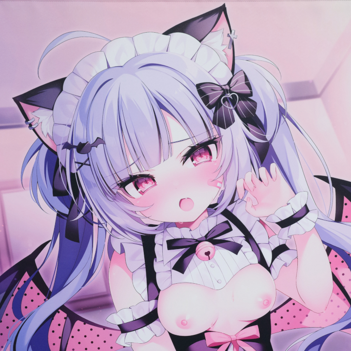 【レビュー】桐宮つるぎ 描き下ろしB2タペストリー 「小悪魔サキュバス 猫宮みおん」 (もちまくら)_バストアップ
