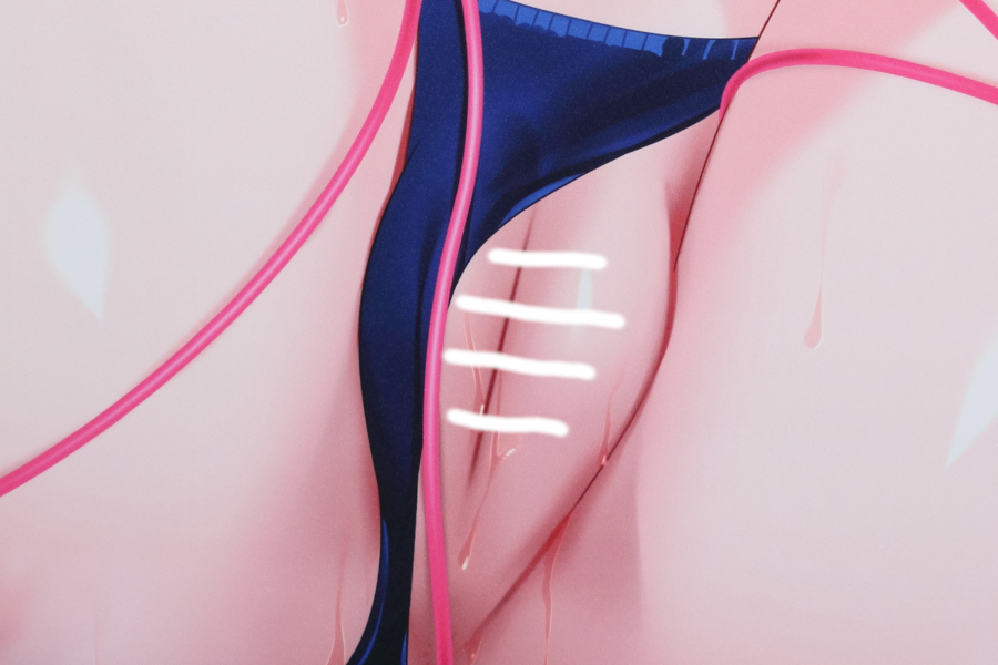 【レビュー】アカツキ 2025年6月27日新規グッズ（成年向け） Wスエードタペストリー (猫りん堂)_局部アップ