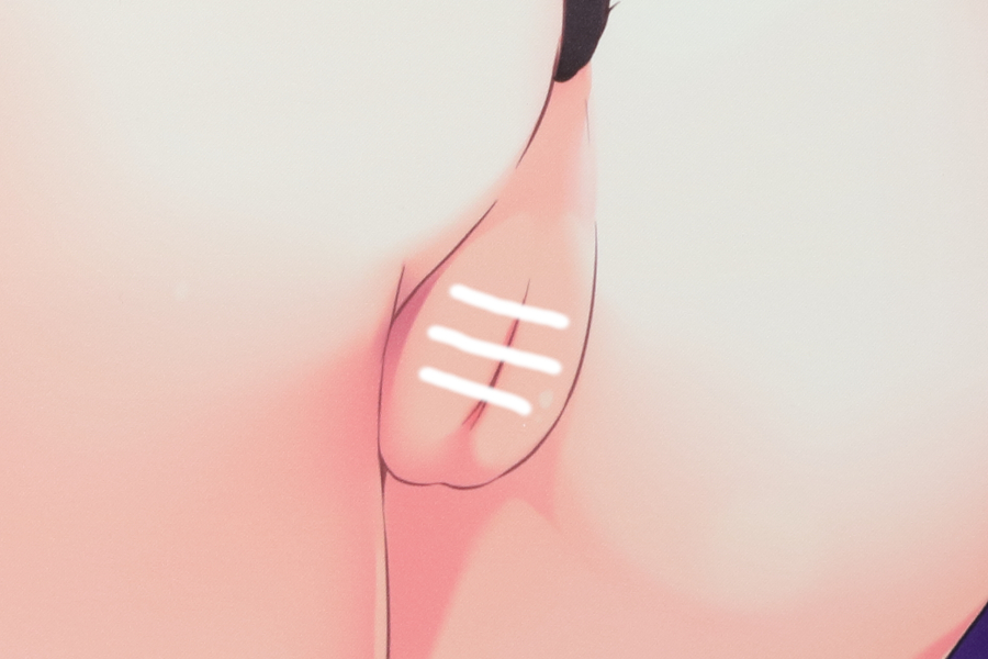 【レビュー】みけおう 2022年6月24日新規グッズ（成年向け） Wスエードタペストリー (猫りん堂)_局部アップ